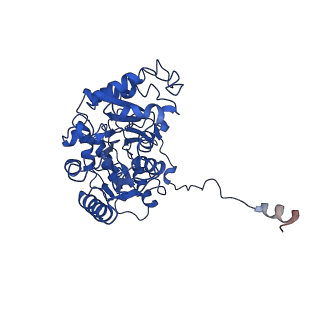 30441_7cqi_S_v1-2
Cryo-EM structure of the substrate-bound SPT-ORMDL3 complex