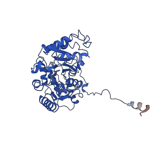 30441_7cqi_S_v1-3
Cryo-EM structure of the substrate-bound SPT-ORMDL3 complex