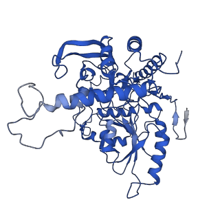 30441_7cqi_T_v1-2
Cryo-EM structure of the substrate-bound SPT-ORMDL3 complex