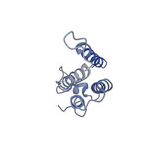 30442_7cqk_A_v1-3
Cryo-EM structure of the substrate-bound SPT-ORMDL3 complex