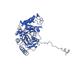 30442_7cqk_S_v1-2
Cryo-EM structure of the substrate-bound SPT-ORMDL3 complex
