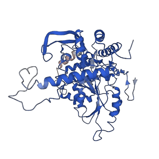 30442_7cqk_T_v1-2
Cryo-EM structure of the substrate-bound SPT-ORMDL3 complex