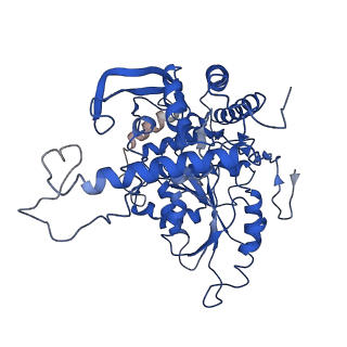 30442_7cqk_T_v1-3
Cryo-EM structure of the substrate-bound SPT-ORMDL3 complex