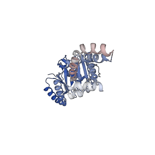 16801_8cr1_A_v1-0
Homo sapiens Get1/Get2 heterotetramer in complex with a Get3 dimer