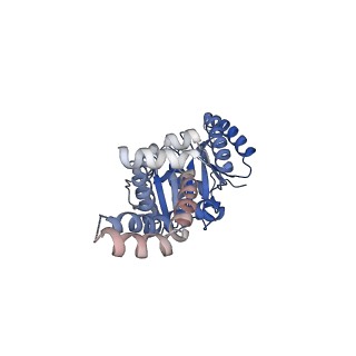 16801_8cr1_B_v1-0
Homo sapiens Get1/Get2 heterotetramer in complex with a Get3 dimer