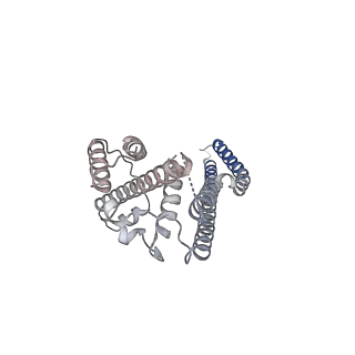 16801_8cr1_D_v1-0
Homo sapiens Get1/Get2 heterotetramer in complex with a Get3 dimer