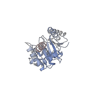 16802_8cr2_B_v1-0
Homo sapiens Get1/Get2 heterotetramer (a3' deletion variant) in complex with a Get3 dimer