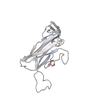 16807_8crb_A_v1-0
Cryo-EM structure of PcrV/Fab(11-E5)