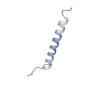 26955_8crq_B_v1-1
Local refinement of Band 3-I transmembrane domains, class 1 of erythrocyte ankyrin-1 complex