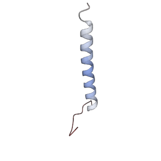 26956_8crr_D_v1-1
Local refinement of Band 3-III transmembrane domains, class 1 of erythrocyte ankyrin-1 complex