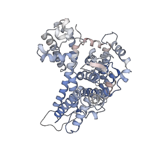 26956_8crr_E_v1-1
Local refinement of Band 3-III transmembrane domains, class 1 of erythrocyte ankyrin-1 complex