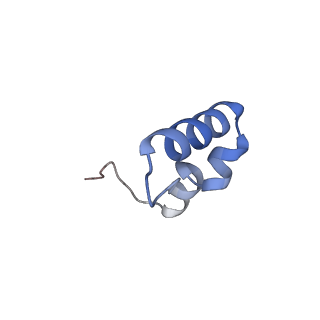 26959_8crx_1_v1-1
Cutibacterium acnes 70S ribosome with mRNA, P-site tRNA and Sarecycline bound
