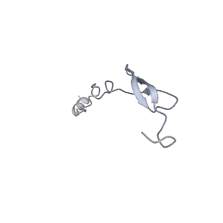 26959_8crx_4_v1-1
Cutibacterium acnes 70S ribosome with mRNA, P-site tRNA and Sarecycline bound