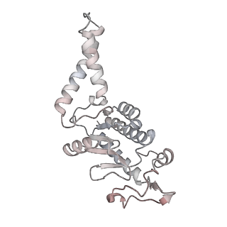 26959_8crx_B_v1-1
Cutibacterium acnes 70S ribosome with mRNA, P-site tRNA and Sarecycline bound
