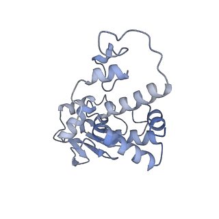 26959_8crx_D_v1-1
Cutibacterium acnes 70S ribosome with mRNA, P-site tRNA and Sarecycline bound