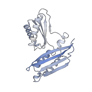 26959_8crx_G_v1-1
Cutibacterium acnes 70S ribosome with mRNA, P-site tRNA and Sarecycline bound
