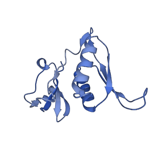 26959_8crx_H_v1-1
Cutibacterium acnes 70S ribosome with mRNA, P-site tRNA and Sarecycline bound
