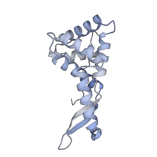 26959_8crx_I_v1-1
Cutibacterium acnes 70S ribosome with mRNA, P-site tRNA and Sarecycline bound