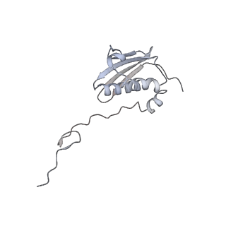 26959_8crx_J_v1-1
Cutibacterium acnes 70S ribosome with mRNA, P-site tRNA and Sarecycline bound