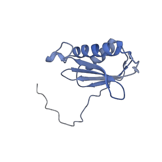 26959_8crx_K_v1-1
Cutibacterium acnes 70S ribosome with mRNA, P-site tRNA and Sarecycline bound