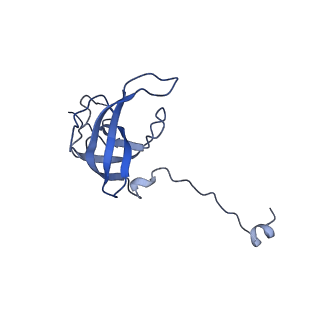 26959_8crx_L_v1-1
Cutibacterium acnes 70S ribosome with mRNA, P-site tRNA and Sarecycline bound