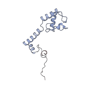 26959_8crx_N_v1-1
Cutibacterium acnes 70S ribosome with mRNA, P-site tRNA and Sarecycline bound