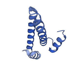 26959_8crx_O_v1-1
Cutibacterium acnes 70S ribosome with mRNA, P-site tRNA and Sarecycline bound
