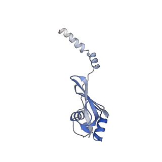 26959_8crx_P_v1-1
Cutibacterium acnes 70S ribosome with mRNA, P-site tRNA and Sarecycline bound