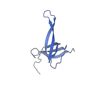 26959_8crx_Q_v1-1
Cutibacterium acnes 70S ribosome with mRNA, P-site tRNA and Sarecycline bound