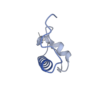 26959_8crx_R_v1-1
Cutibacterium acnes 70S ribosome with mRNA, P-site tRNA and Sarecycline bound