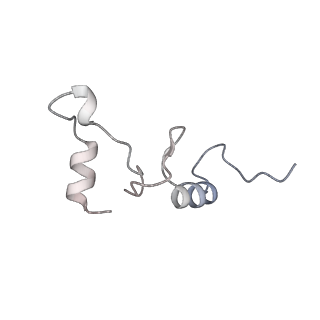 26959_8crx_S_v1-1
Cutibacterium acnes 70S ribosome with mRNA, P-site tRNA and Sarecycline bound