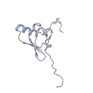 26959_8crx_U_v1-1
Cutibacterium acnes 70S ribosome with mRNA, P-site tRNA and Sarecycline bound