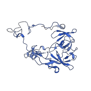 26959_8crx_c_v1-1
Cutibacterium acnes 70S ribosome with mRNA, P-site tRNA and Sarecycline bound