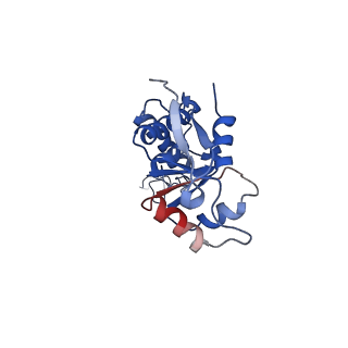 26959_8crx_e_v1-1
Cutibacterium acnes 70S ribosome with mRNA, P-site tRNA and Sarecycline bound