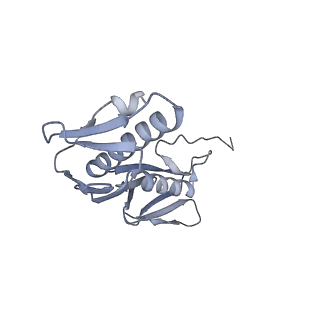 26959_8crx_g_v1-1
Cutibacterium acnes 70S ribosome with mRNA, P-site tRNA and Sarecycline bound
