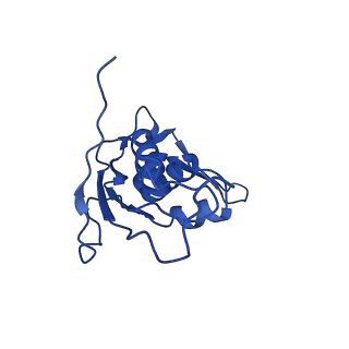26959_8crx_i_v1-1
Cutibacterium acnes 70S ribosome with mRNA, P-site tRNA and Sarecycline bound