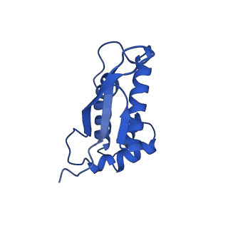 26959_8crx_m_v1-1
Cutibacterium acnes 70S ribosome with mRNA, P-site tRNA and Sarecycline bound