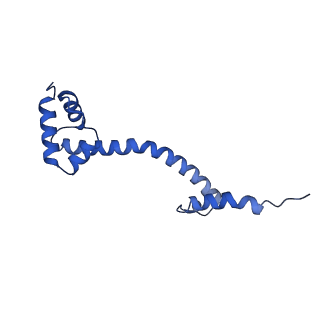 26959_8crx_p_v1-1
Cutibacterium acnes 70S ribosome with mRNA, P-site tRNA and Sarecycline bound
