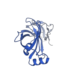 26959_8crx_u_v1-1
Cutibacterium acnes 70S ribosome with mRNA, P-site tRNA and Sarecycline bound