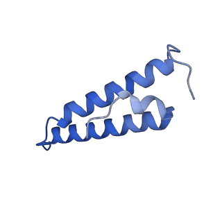 26959_8crx_x_v1-1
Cutibacterium acnes 70S ribosome with mRNA, P-site tRNA and Sarecycline bound
