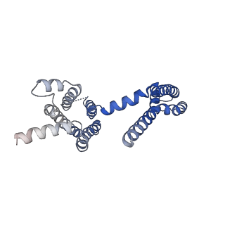 30444_7cr1_A_v1-3
human KCNQ2 in complex with ztz240