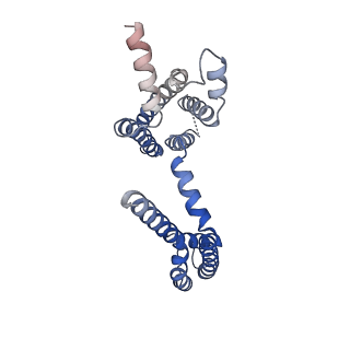 30444_7cr1_B_v1-3
human KCNQ2 in complex with ztz240