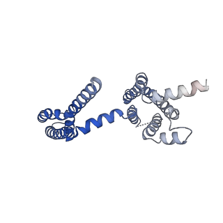 30444_7cr1_C_v1-3
human KCNQ2 in complex with ztz240