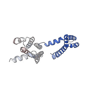 30445_7cr2_A_v1-3
human KCNQ2 in complex with retigabine