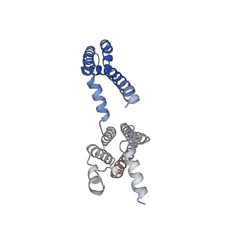 30445_7cr2_B_v1-2
human KCNQ2 in complex with retigabine