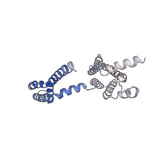 30445_7cr2_C_v1-2
human KCNQ2 in complex with retigabine