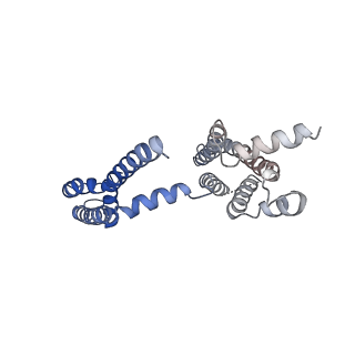 30445_7cr2_C_v1-3
human KCNQ2 in complex with retigabine