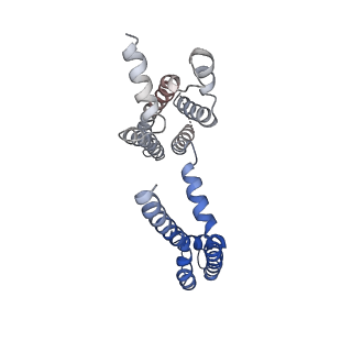 30445_7cr2_D_v1-2
human KCNQ2 in complex with retigabine