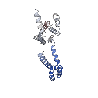 30445_7cr2_D_v1-3
human KCNQ2 in complex with retigabine