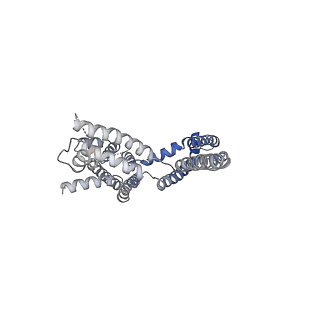 30447_7cr4_A_v1-3
human KCNQ2-CaM in complex with ztz240